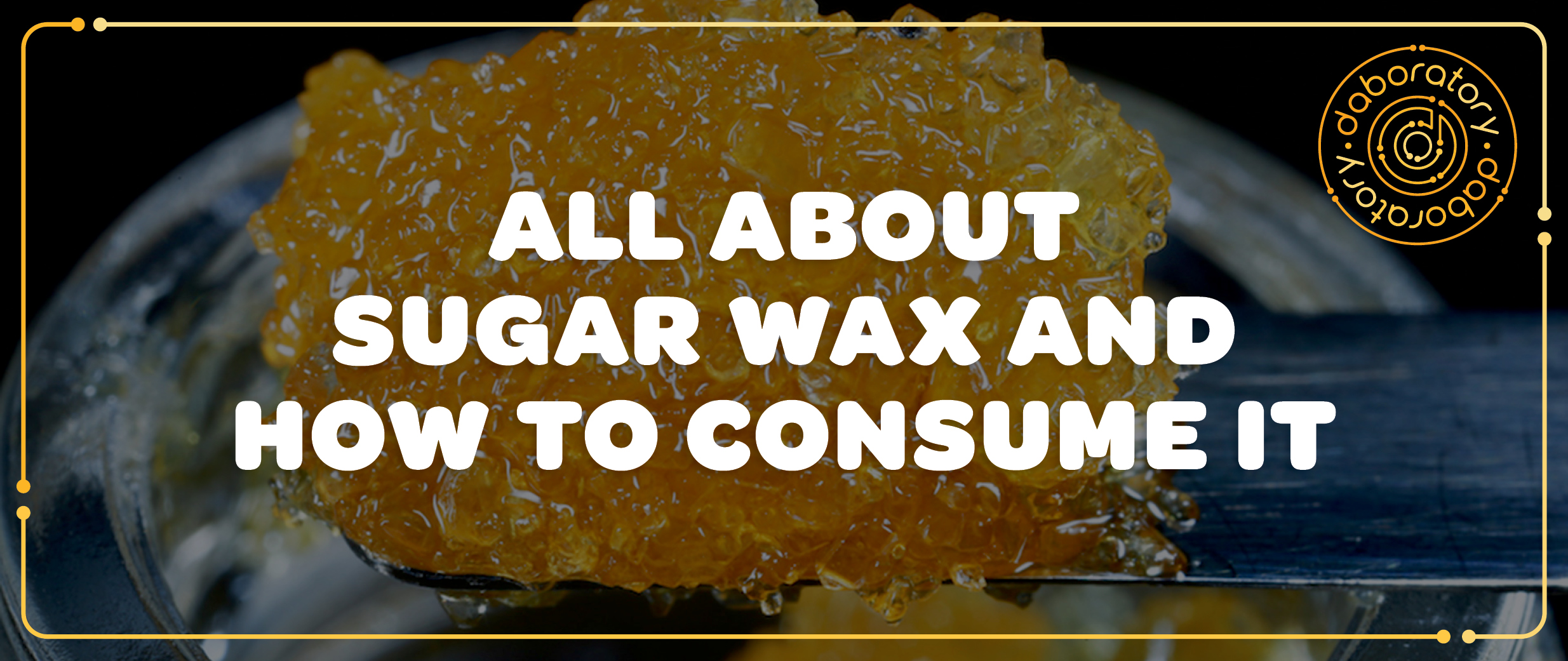 Daboratory_Blog Posts-Sugar Wax